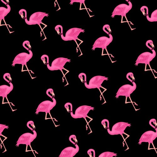 Pink Flamingo Gift Wrap-Black Background-Handmade Gift Company