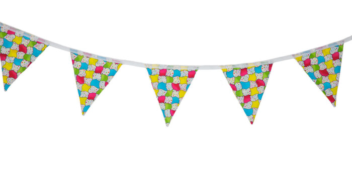 Multicoloured Flag Design Bunting