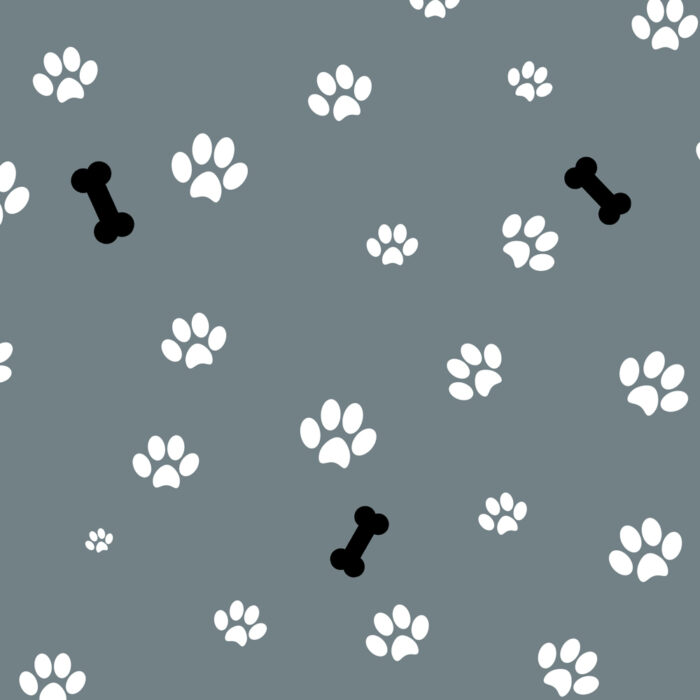 Dog Paws Gift Wrap
