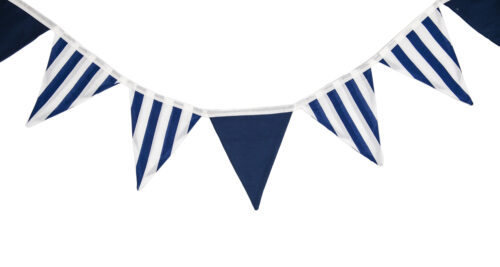 Blue & White Striped Bunting