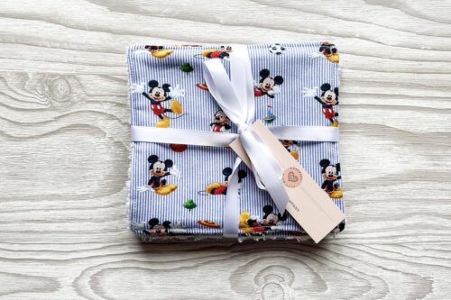 Baby Wipes Mouse Design