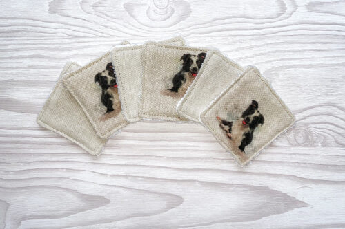 Eco-friendly Face Pads-Border Collie