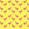 Pink Flamingo Gift Wrap- Yellow