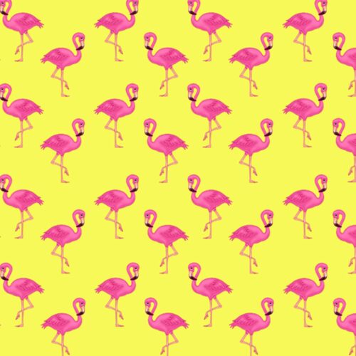 Pink Flamingo Gift Wrap- Yellow