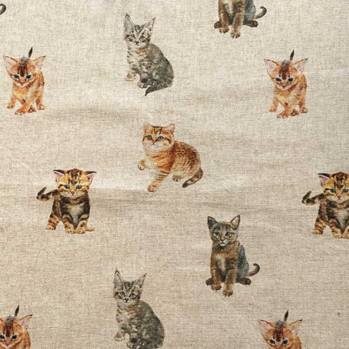 Kitten Design Cushion