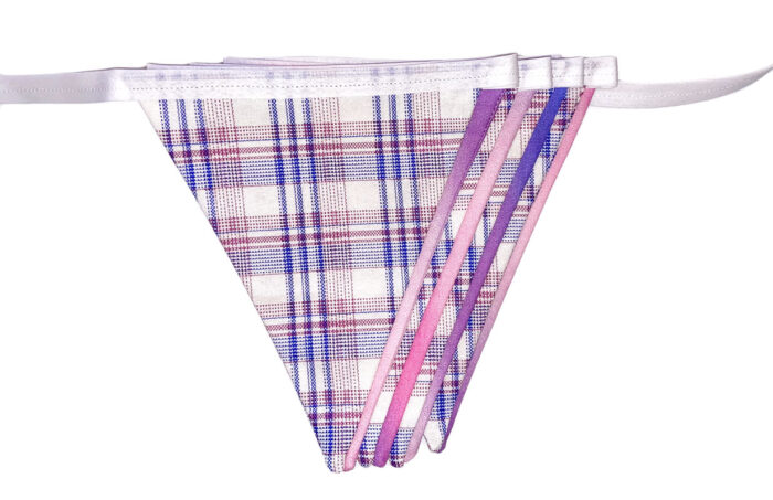Bunting Purple White Checked