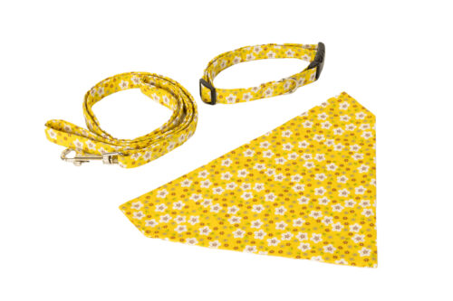 Dogs Gift Set Yellow Floral
