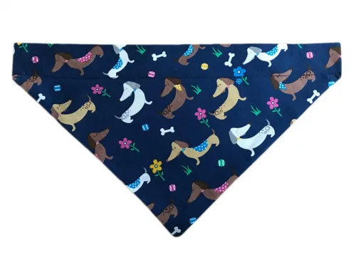 Dog Bandana Doggies Blue