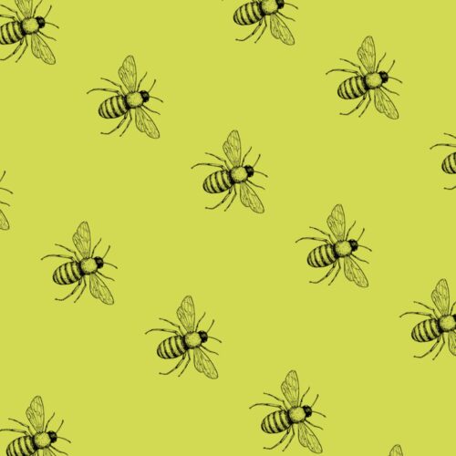 Bees Gift Wrap Green