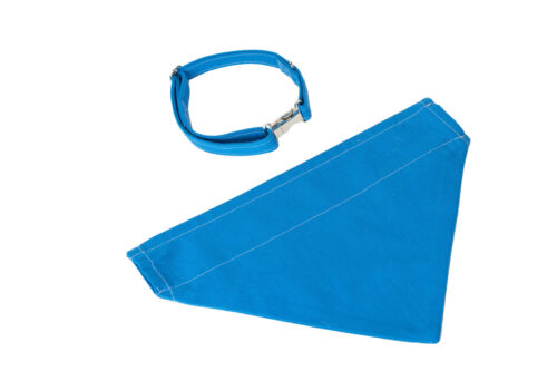 2 Piece Dogs Gift Set Blue