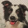 Border Collie Design Cushion