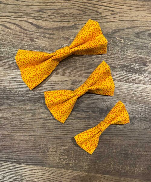 Dog Bow Paint Design