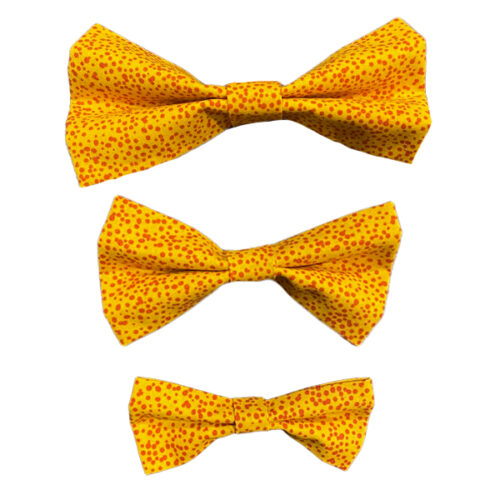 Dog Bow Paint Design