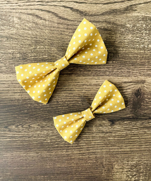 Dog Bow Gold White