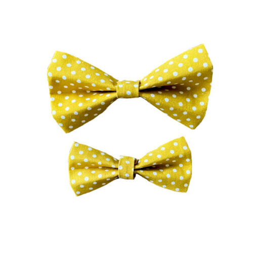 Dog Bow Gold White