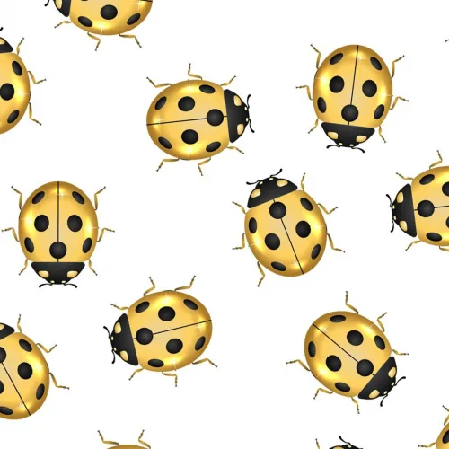 Ladybirds Gift Wrap White