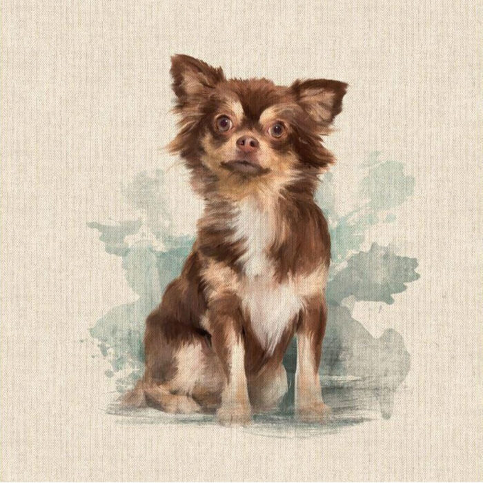 Chihuahua Dog Design Cushion