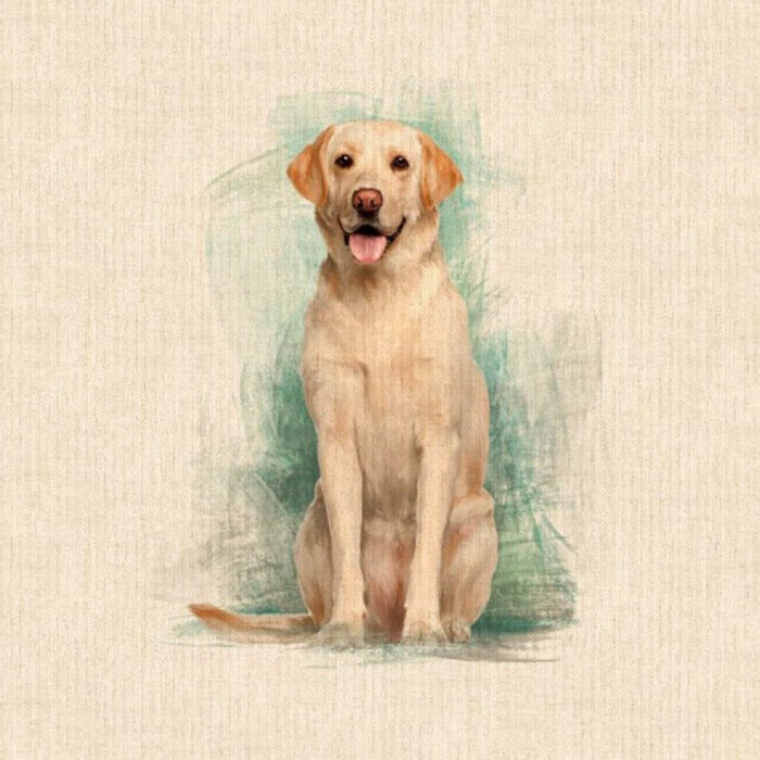 Golden Labrador Design Cushion