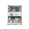 Tea Towel Galloping Horses