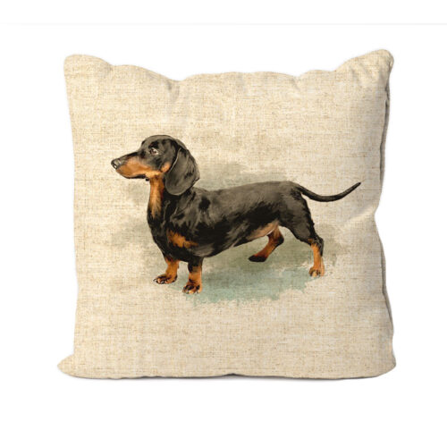 Dachshund Dog Design Cushion