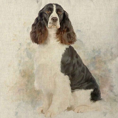 Springer Spaniel Dog Cushion