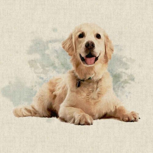 Golden Retriever Dog Cushion